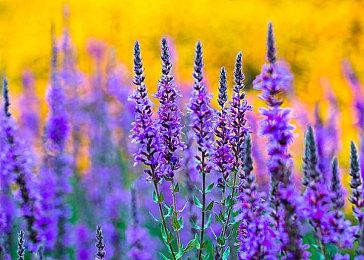 Neowiz 2D动作游戏《小骨》累计销量突破200万